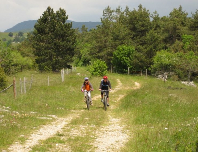  Escursione facile in mountain bike 
